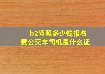 b2驾照多少钱报名费公交车司机是什么证