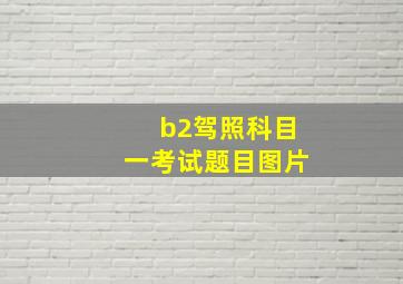 b2驾照科目一考试题目图片