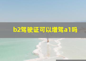 b2驾驶证可以增驾a1吗