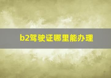 b2驾驶证哪里能办理