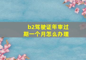 b2驾驶证年审过期一个月怎么办理