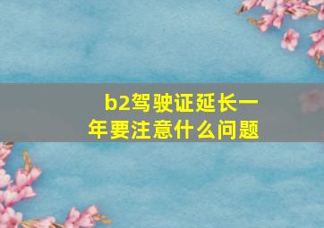 b2驾驶证延长一年要注意什么问题