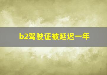 b2驾驶证被延迟一年