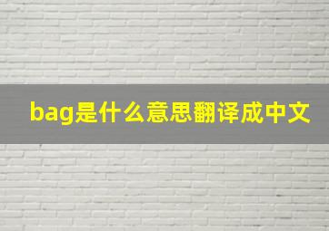 bag是什么意思翻译成中文