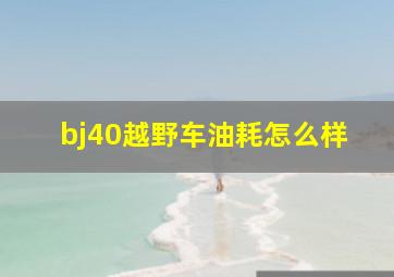 bj40越野车油耗怎么样