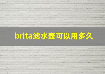 brita滤水壶可以用多久