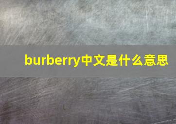 burberry中文是什么意思