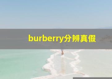 burberry分辨真假