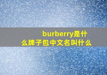 burberry是什么牌子包中文名叫什么