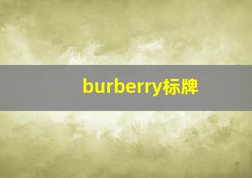 burberry标牌