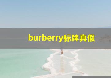 burberry标牌真假