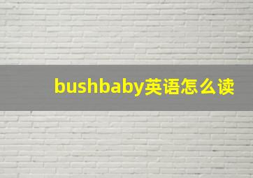 bushbaby英语怎么读