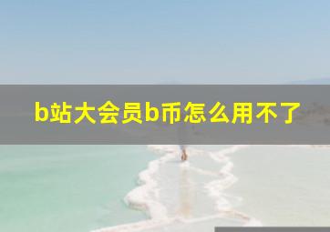 b站大会员b币怎么用不了