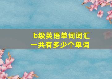 b级英语单词词汇一共有多少个单词