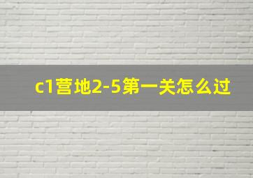 c1营地2-5第一关怎么过