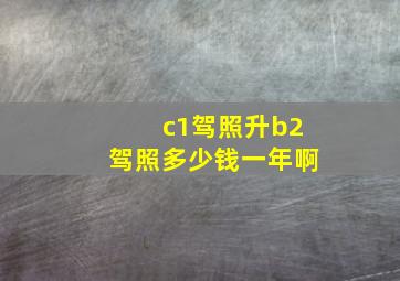 c1驾照升b2驾照多少钱一年啊