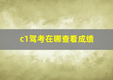 c1驾考在哪查看成绩