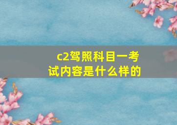 c2驾照科目一考试内容是什么样的