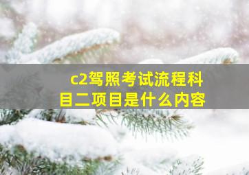 c2驾照考试流程科目二项目是什么内容