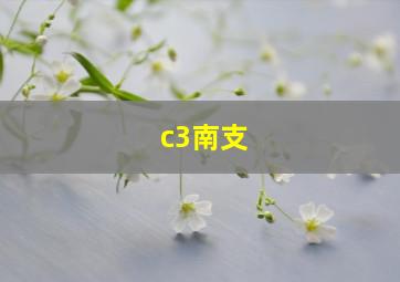 c3南支