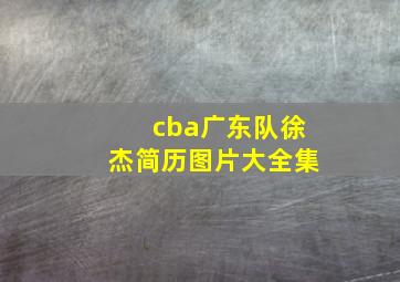 cba广东队徐杰简历图片大全集