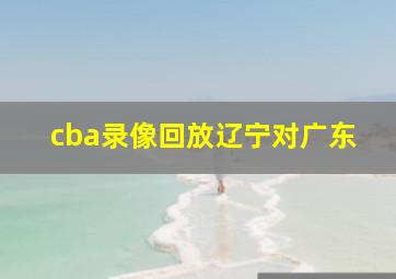 cba录像回放辽宁对广东