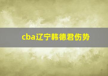 cba辽宁韩德君伤势