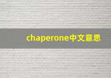 chaperone中文意思