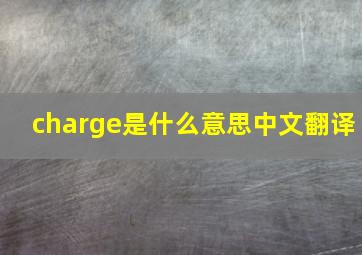 charge是什么意思中文翻译