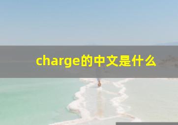 charge的中文是什么