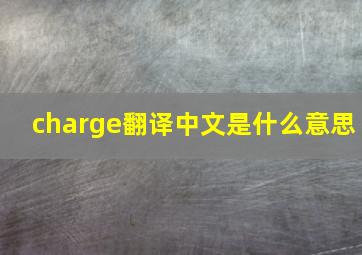 charge翻译中文是什么意思