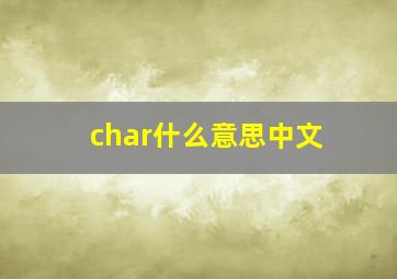 char什么意思中文