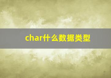 char什么数据类型