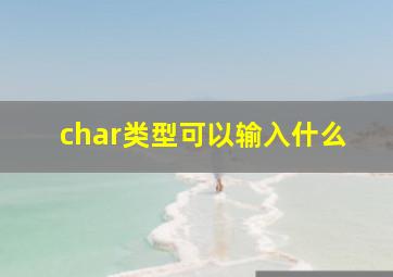 char类型可以输入什么