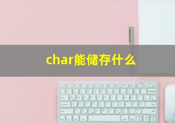 char能储存什么