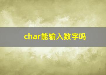 char能输入数字吗