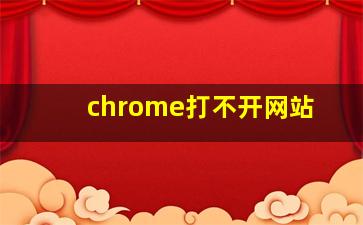 chrome打不开网站