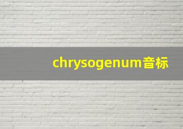 chrysogenum音标