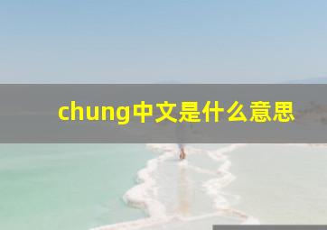 chung中文是什么意思