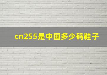 cn255是中国多少码鞋子