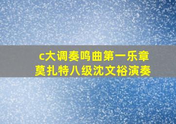 c大调奏鸣曲第一乐章莫扎特八级沈文裕演奏