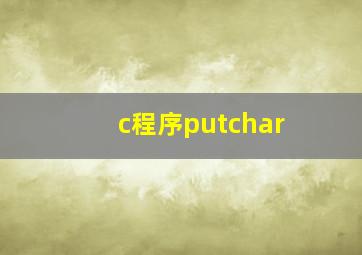 c程序putchar