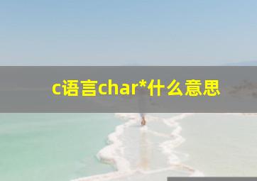 c语言char*什么意思