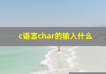 c语言char的输入什么