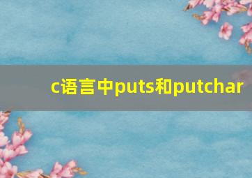 c语言中puts和putchar