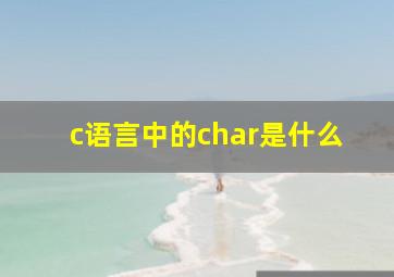 c语言中的char是什么