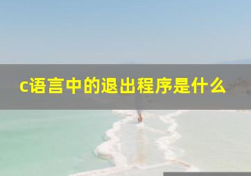 c语言中的退出程序是什么