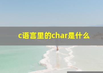 c语言里的char是什么