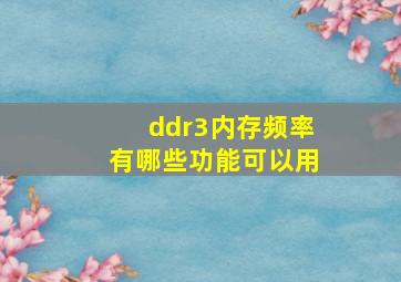 ddr3内存频率有哪些功能可以用