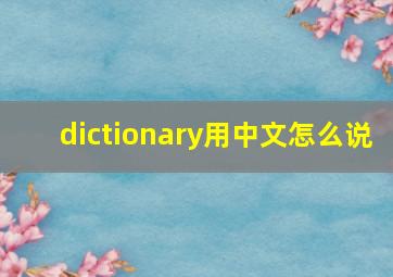 dictionary用中文怎么说